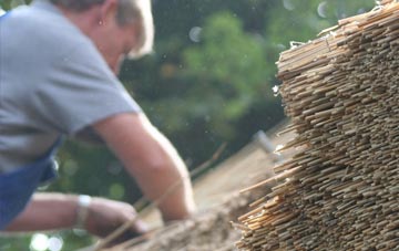 professional Bath thatchers