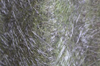 Bath fibreglass roof work